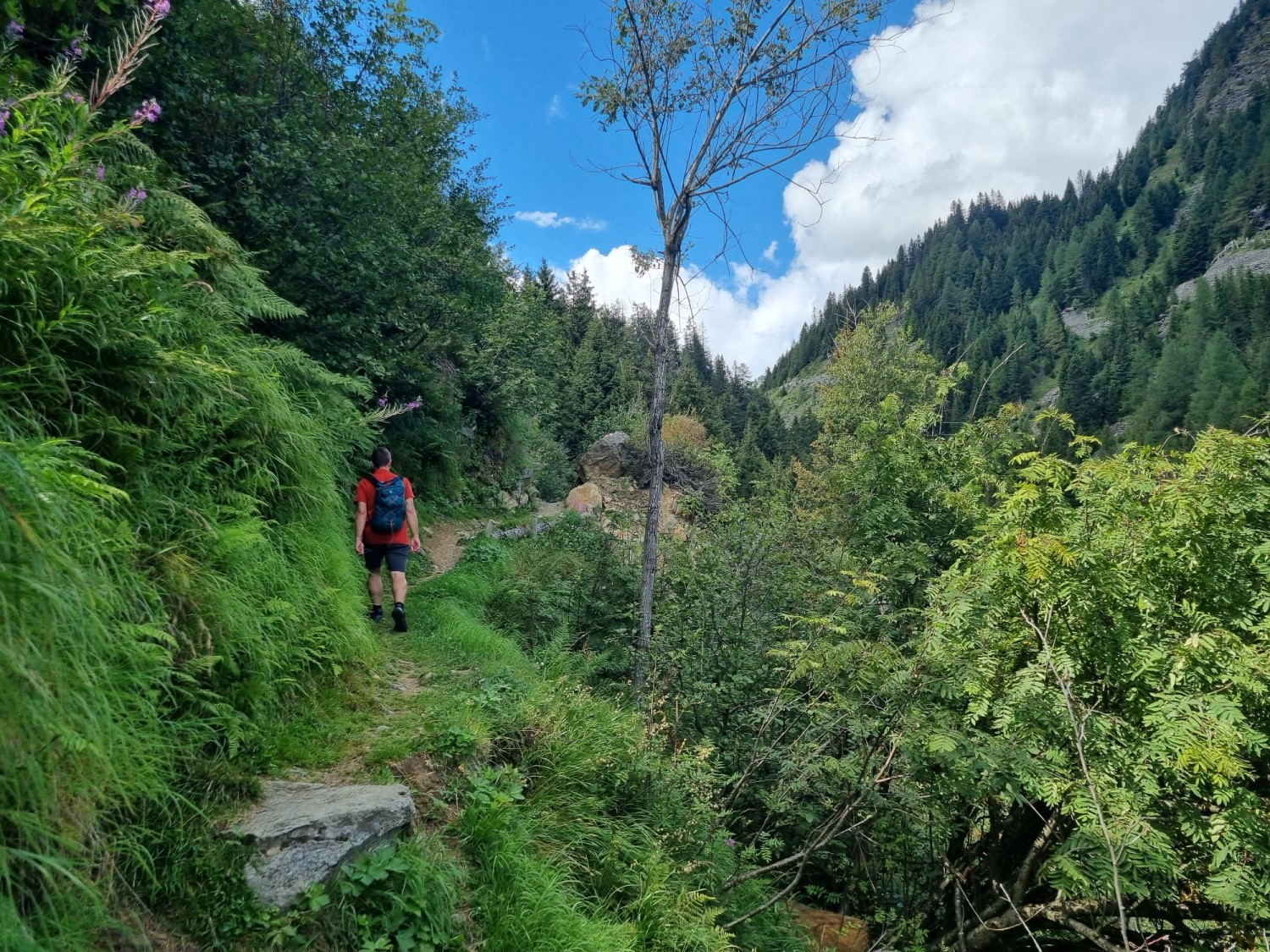 Die Wanderung endet mit einem steilen Aufstieg durch eine Schlucht zurück nach Acquacalda.