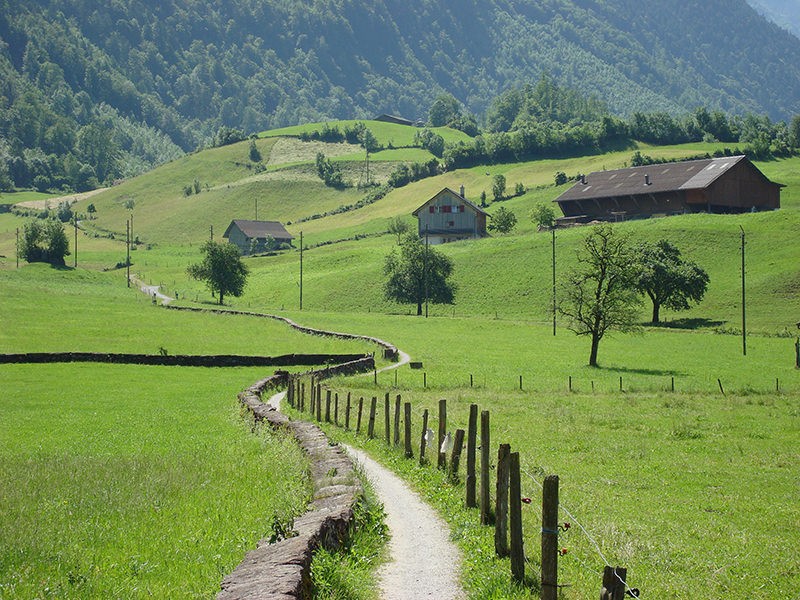 Blick von Ennenda zum Uschenberg