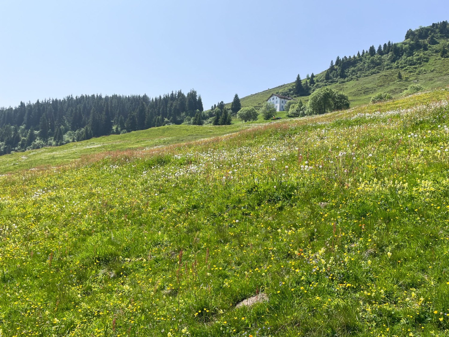 L’auberge de montagne Bündner Rigi apparaît doucement sur le flanc du Piz Mundaun.