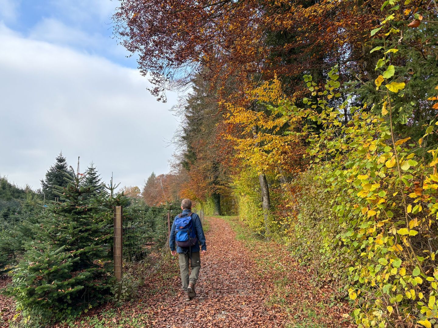Vor Hermetschwil verlässt der Weg kurzzeitig das Flussufer.