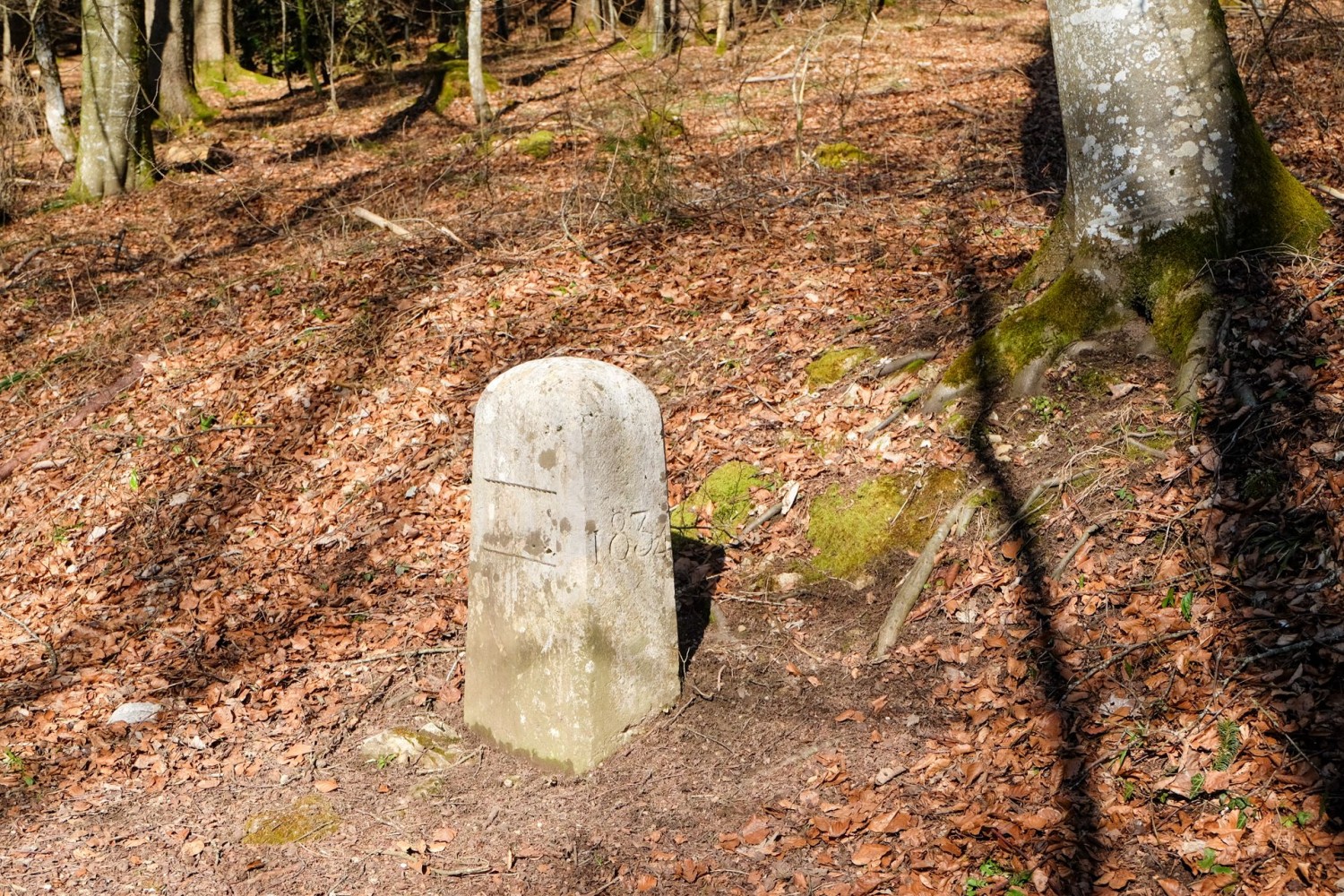 Auf einem kurzen Stück Weg folgt man der Grenze zwischen den Kanton Solothurn und Baselland.