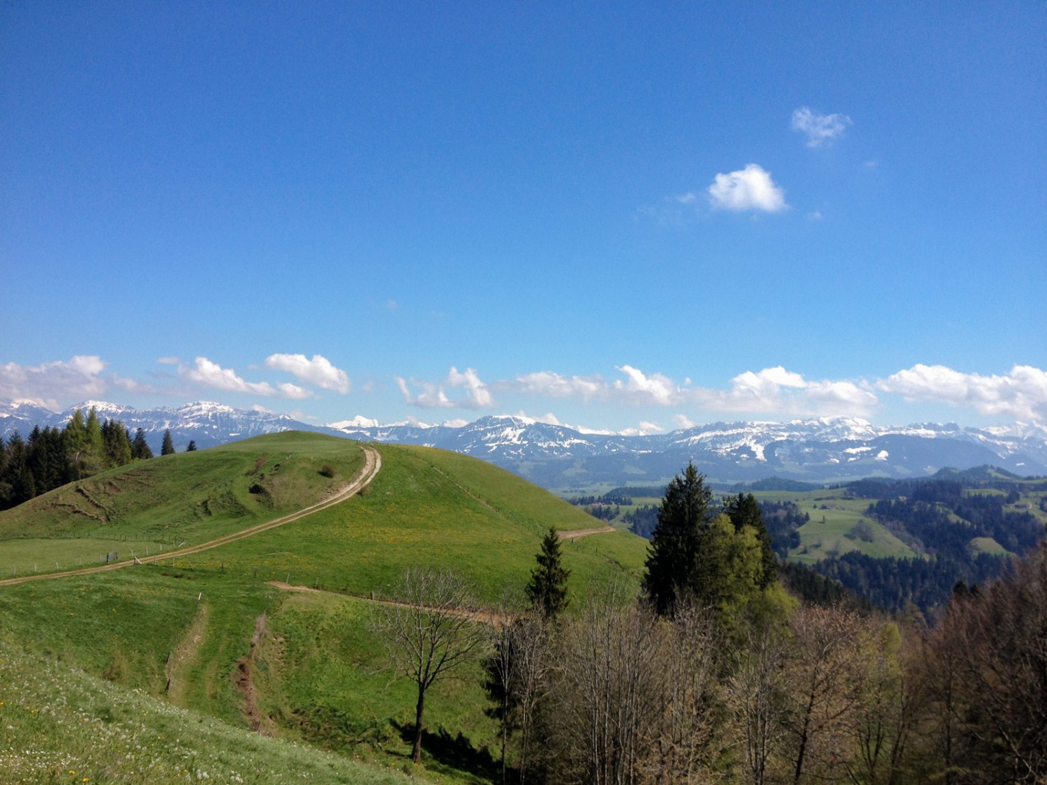 Aussicht in die Weite vom Sonnendorf Menzberg aus. Bild: Claudia Peter