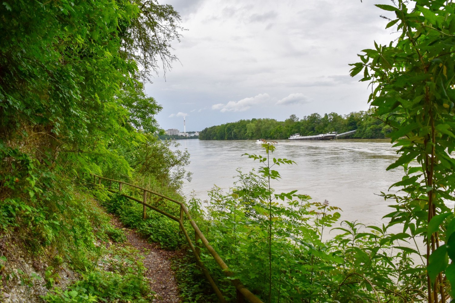 Auf dem Uferweg zum Baselbieter Hardwald