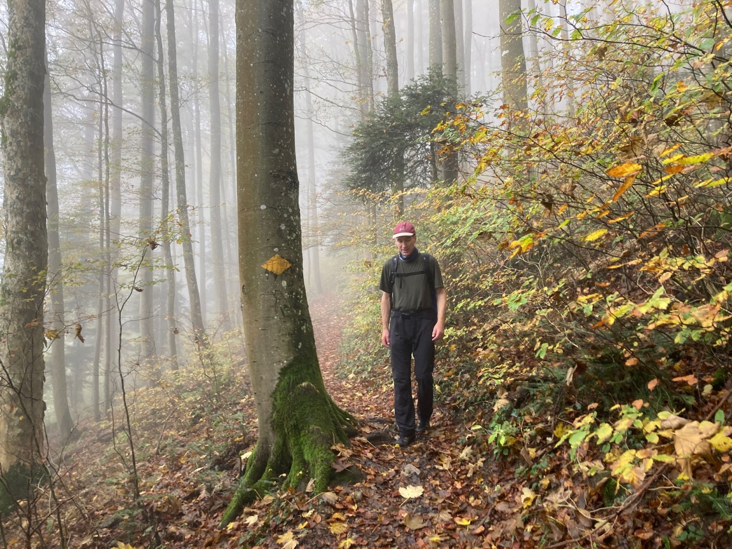 Nach der Homberglücke