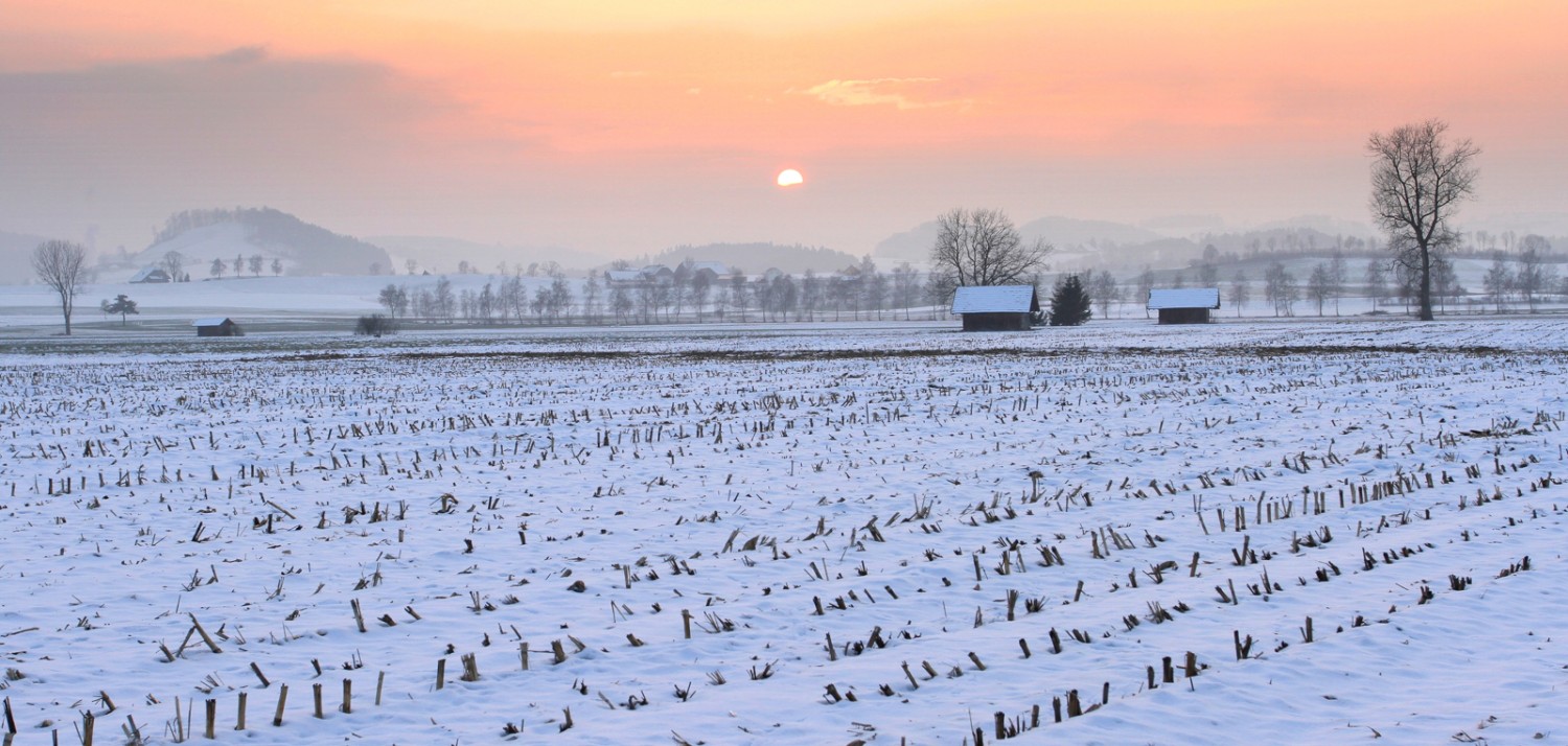 Früher ein See, heute Naturschutzgebiet: das Wauwilermoos. Bild: Priska Ziswiler