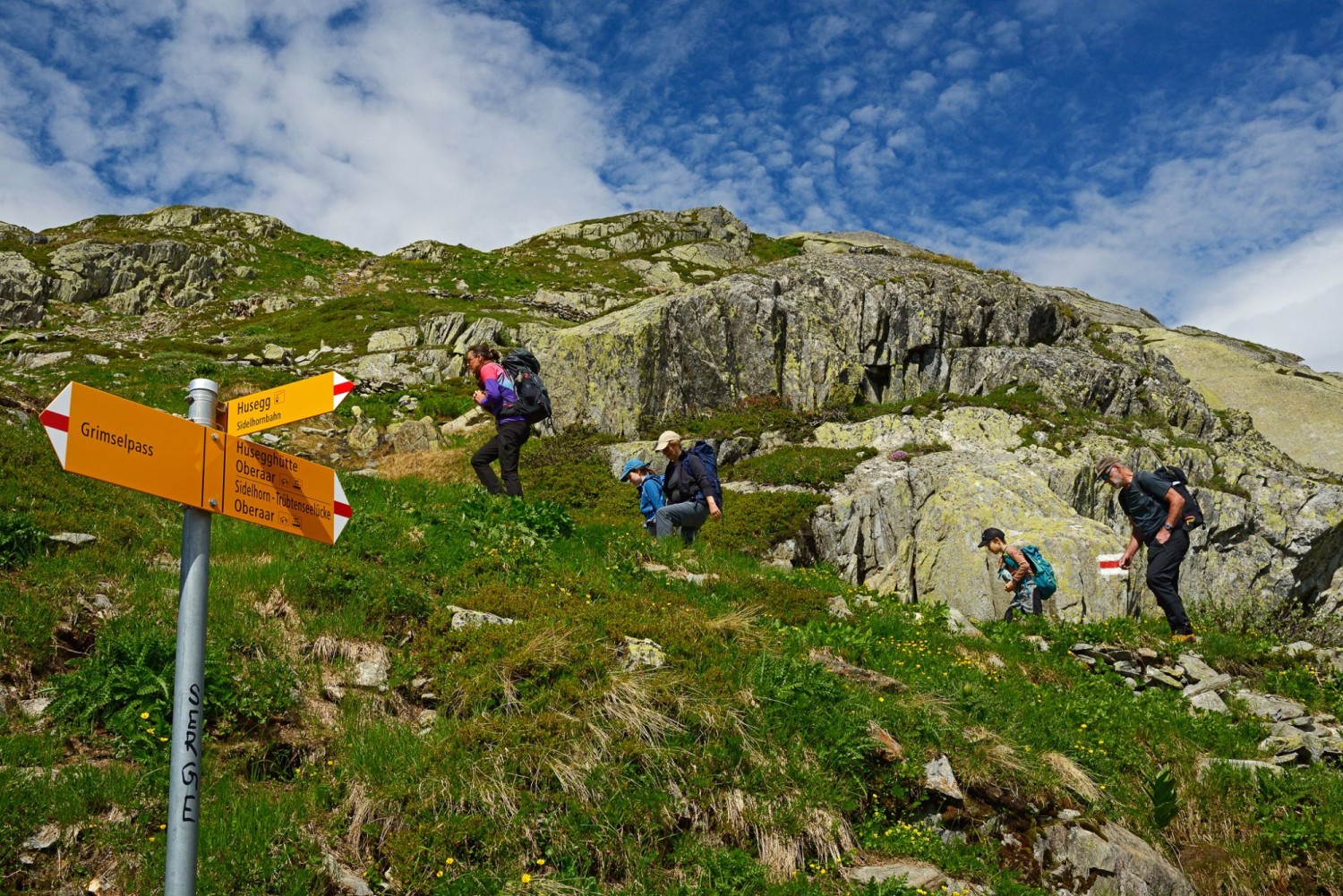 Du col du Grimsel, on monte …