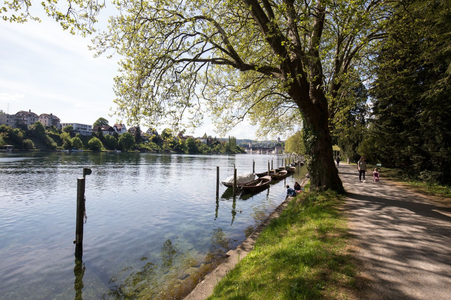 Die Wanderung führt fast immer dem Rhein entlang.