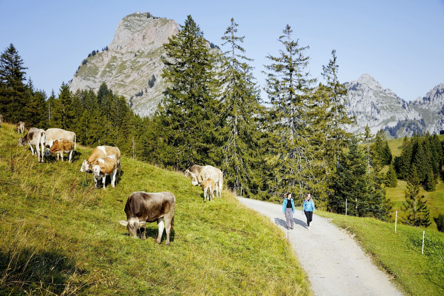 © Schwyz Tourismus