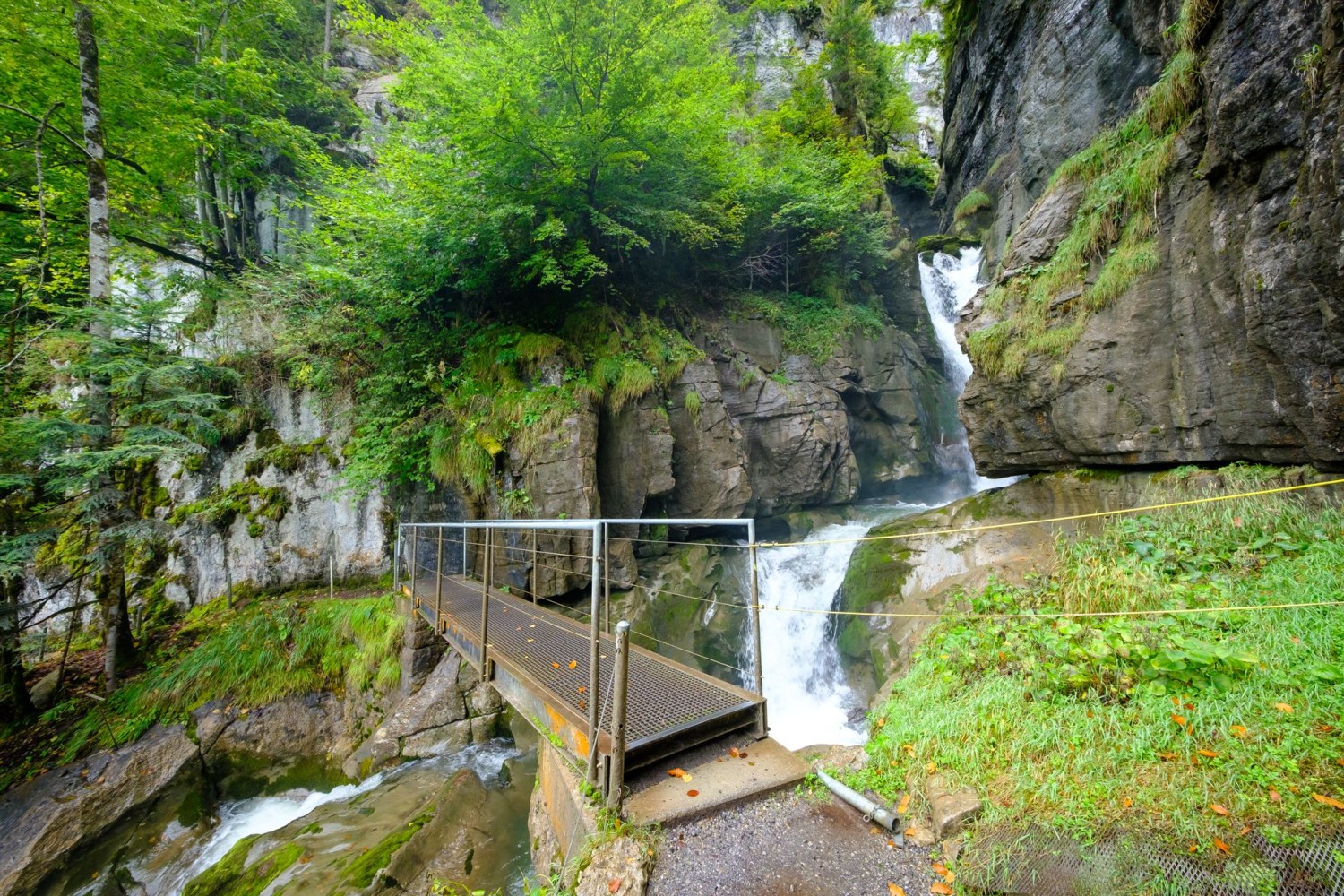 Zwischen der Schweibenalp und dem Brienzersee überquert man den Giessbachfall viermal.