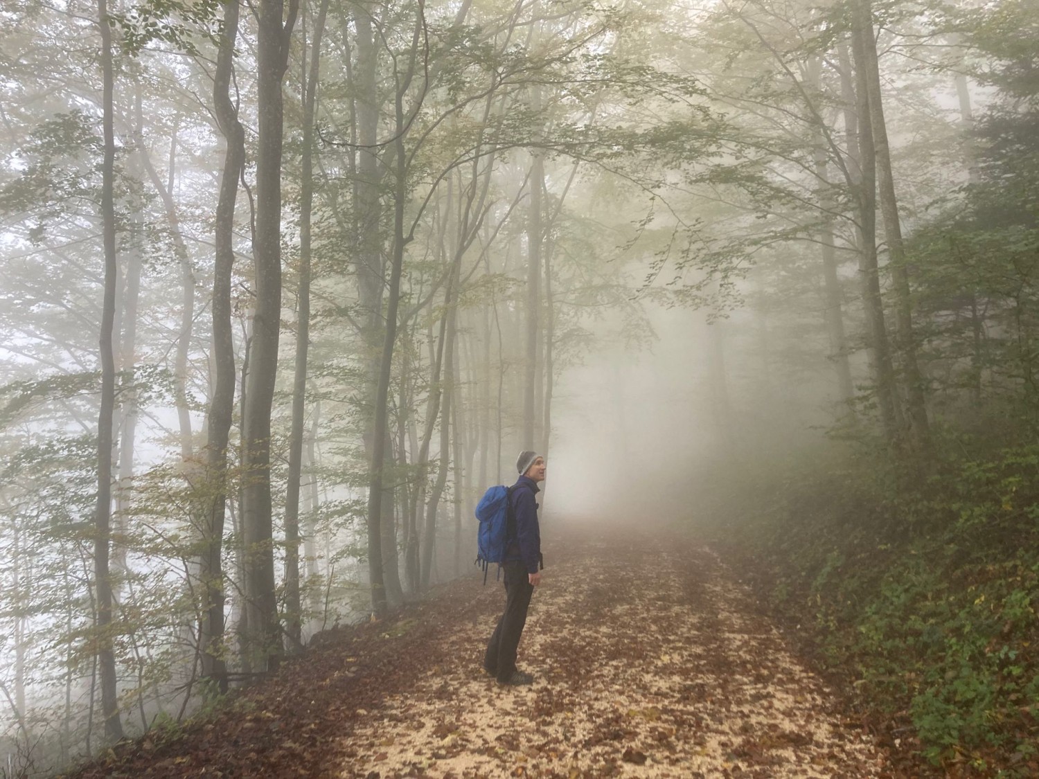 Mystischer Nebel auf dem Hauenstein