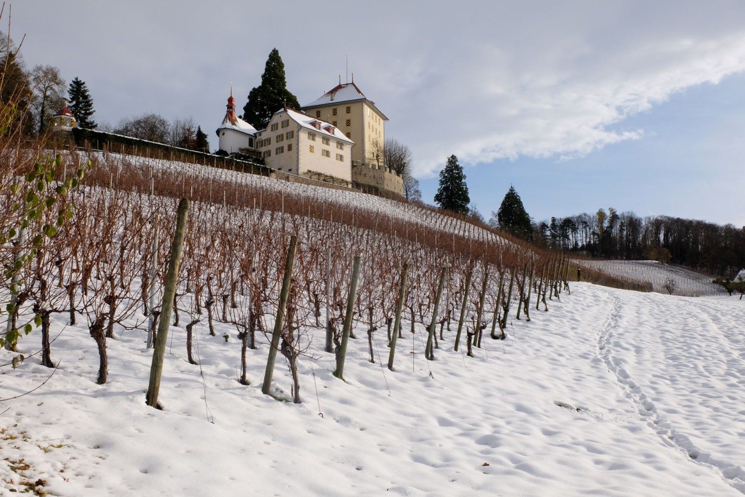Même en hiver, le château de Heidegg et son vignoble sont un beau but de randonnée.