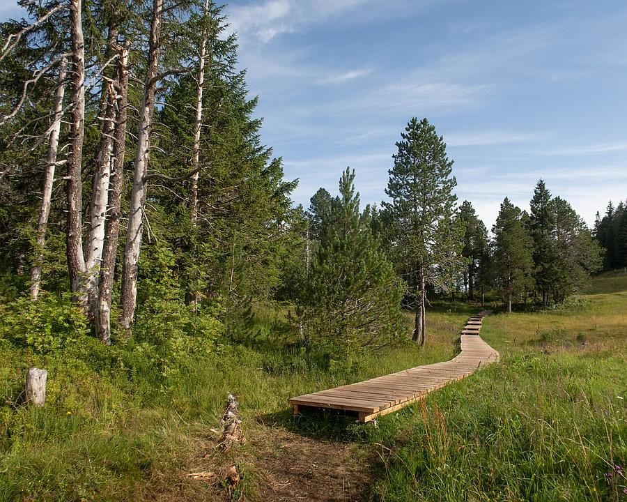 Foto: Fabian Béboux; FotoPate SchweizMobil