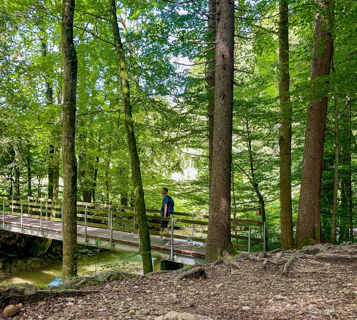 Die zweitletzte Brücke der Schlucht. Danach öffnet sich die Szenerie wieder, und die Wanderung führt weiter über Wiesen- und Feldwege.