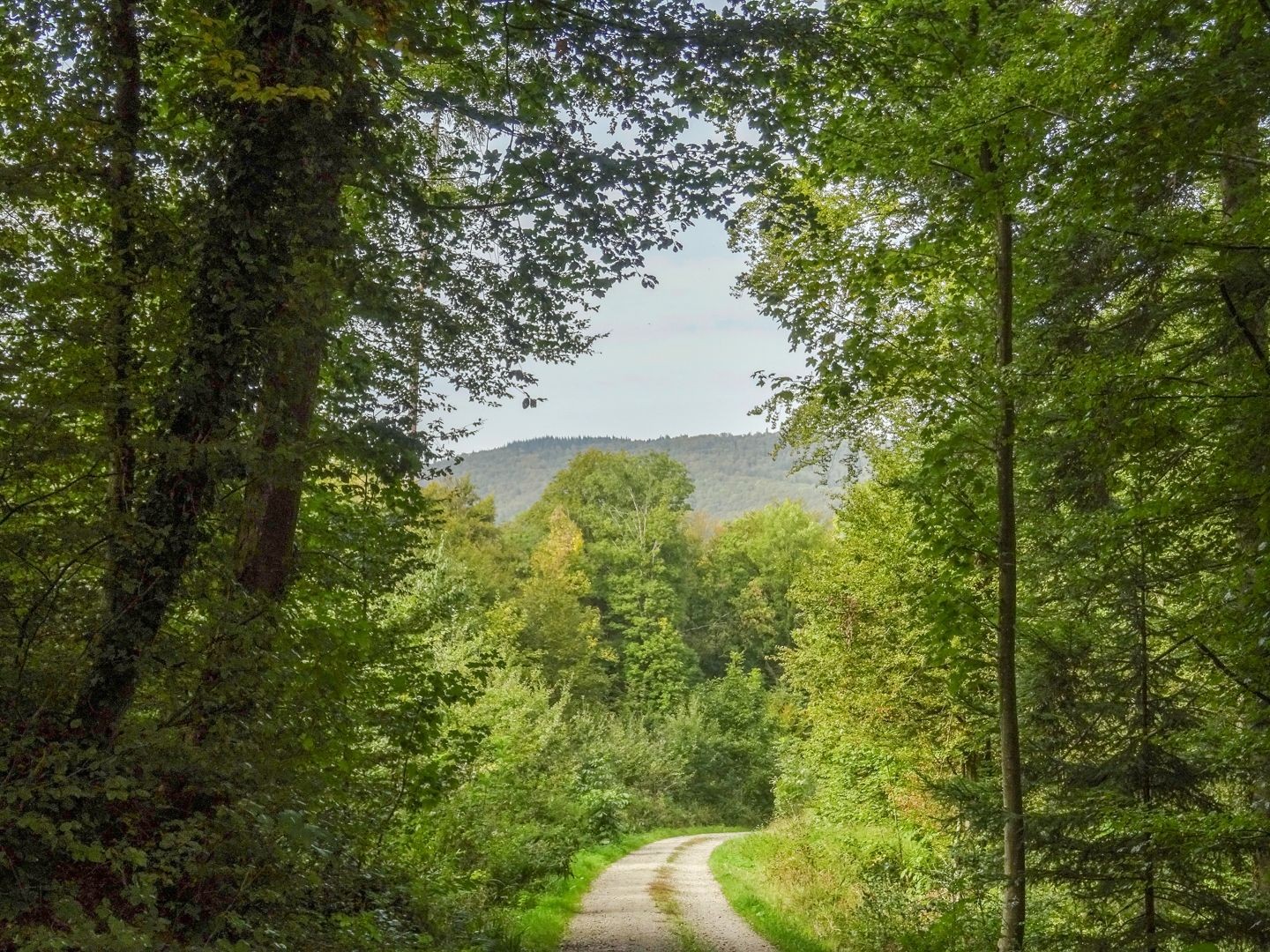 Oberhalb von Veltheim, wo die Wanderung beginnt.
