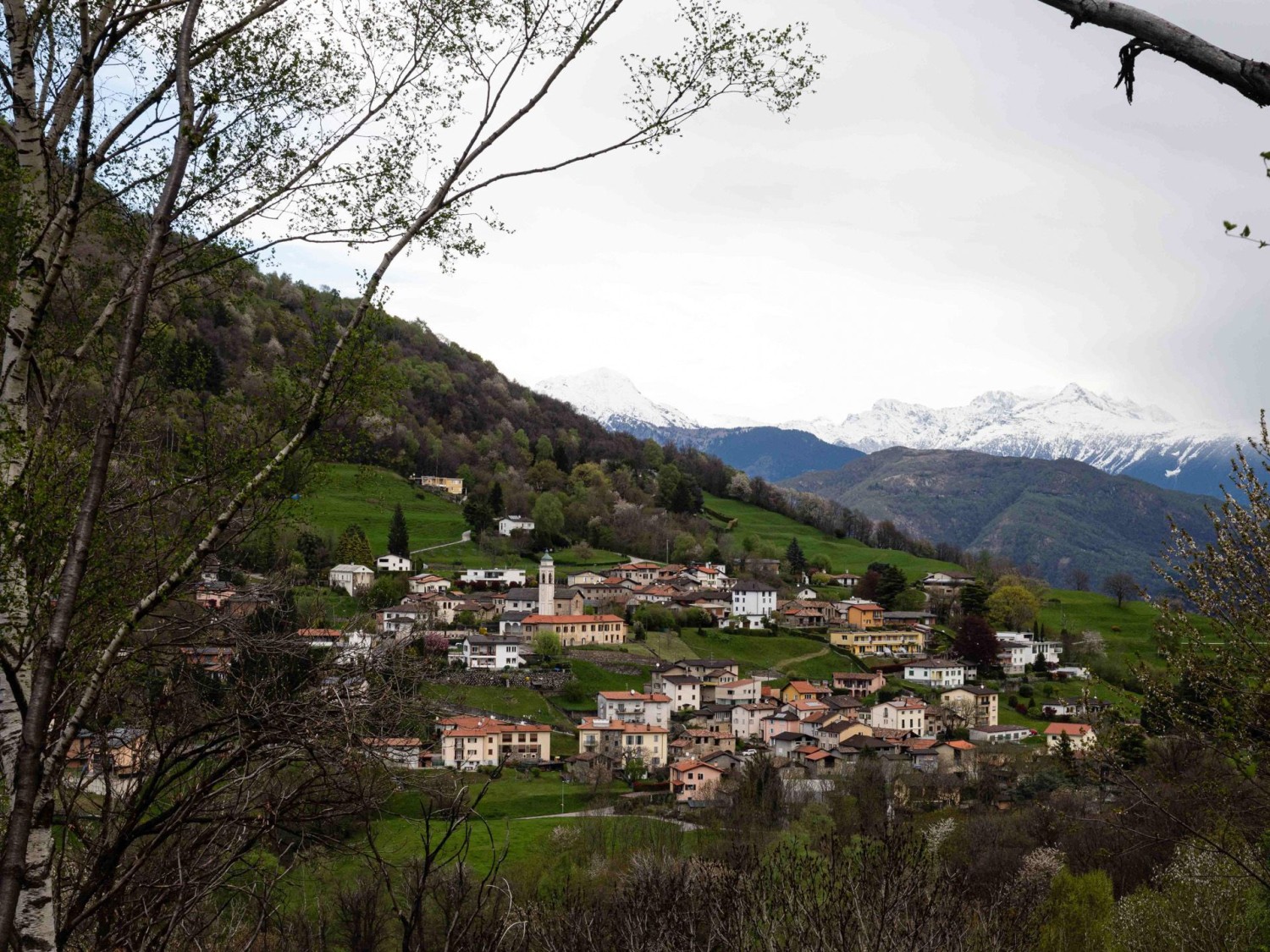 Vista su Arosio dall’Alpe Agra.