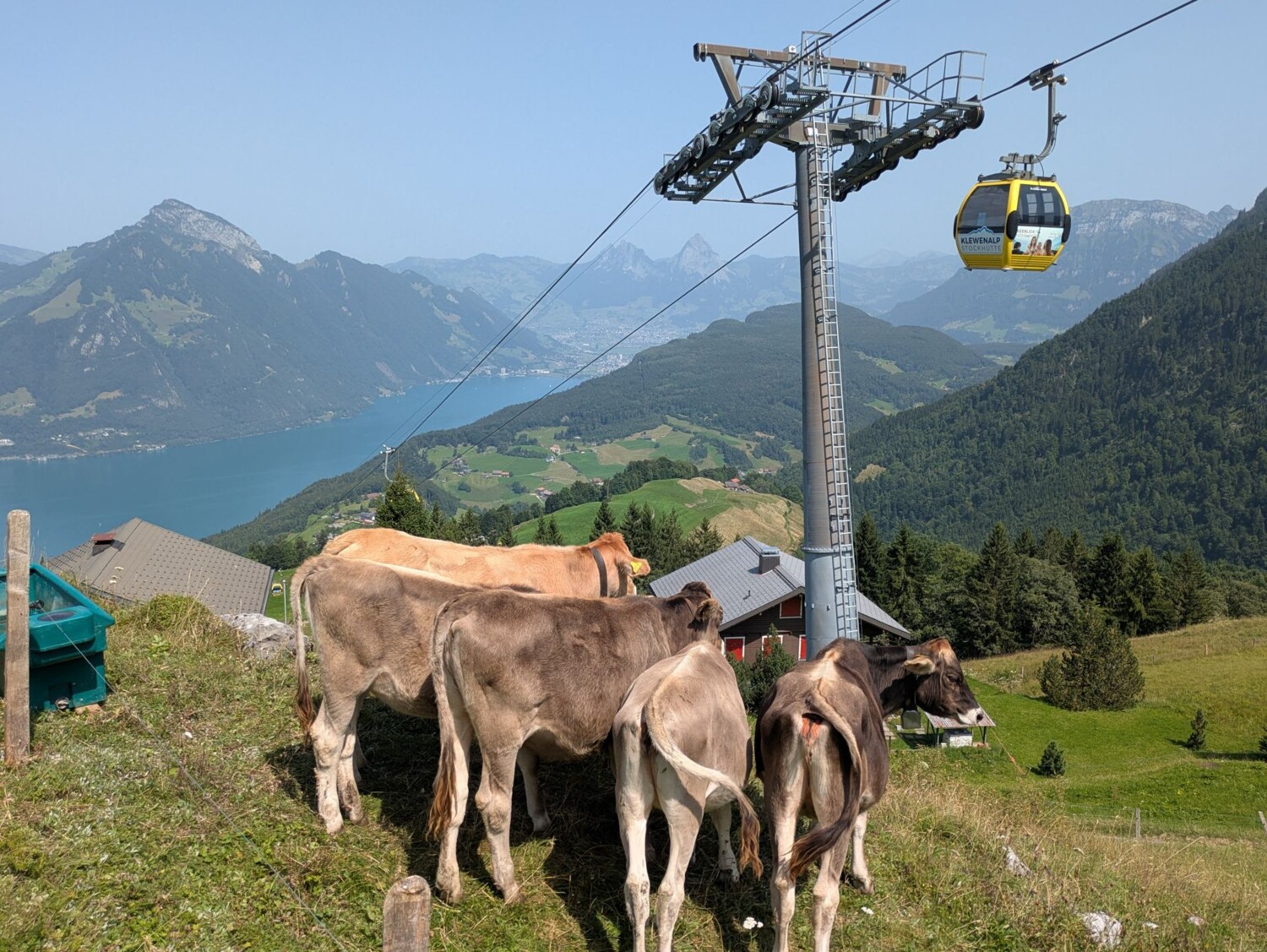 Bequeme Talfahrt. Mit der Gondel geht es entspannt hinunter nach Emmetten.