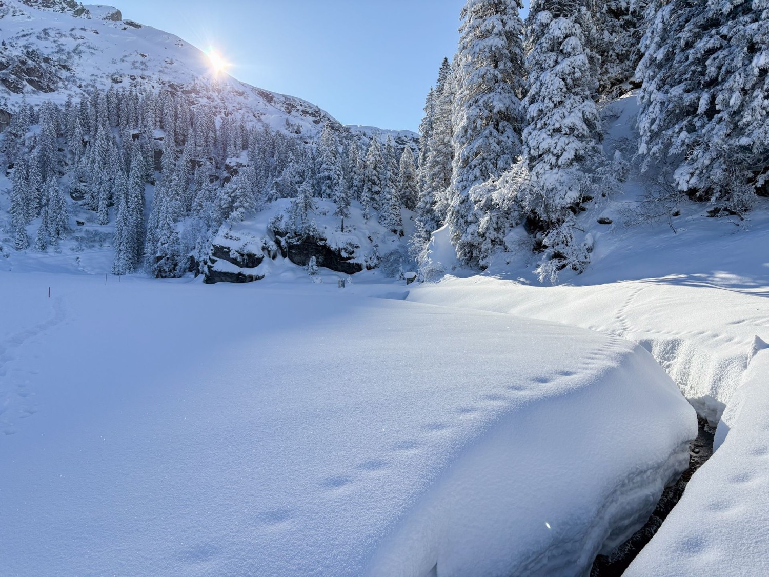 Der Bach zieht einen tiefen Graben in den Schnee.