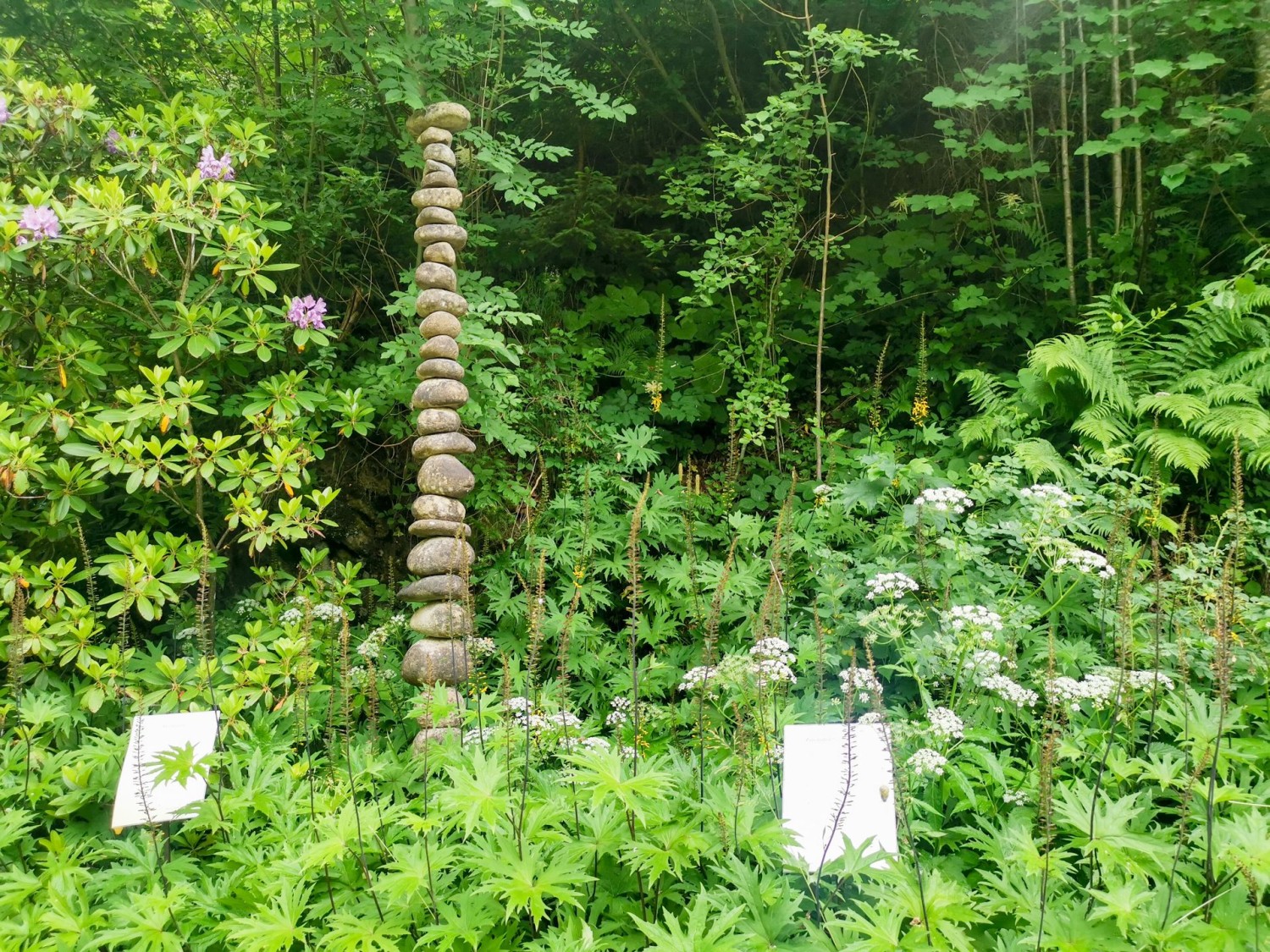 Kulturelle Schmankerln auf dem Emmenuferweg bei Flühli