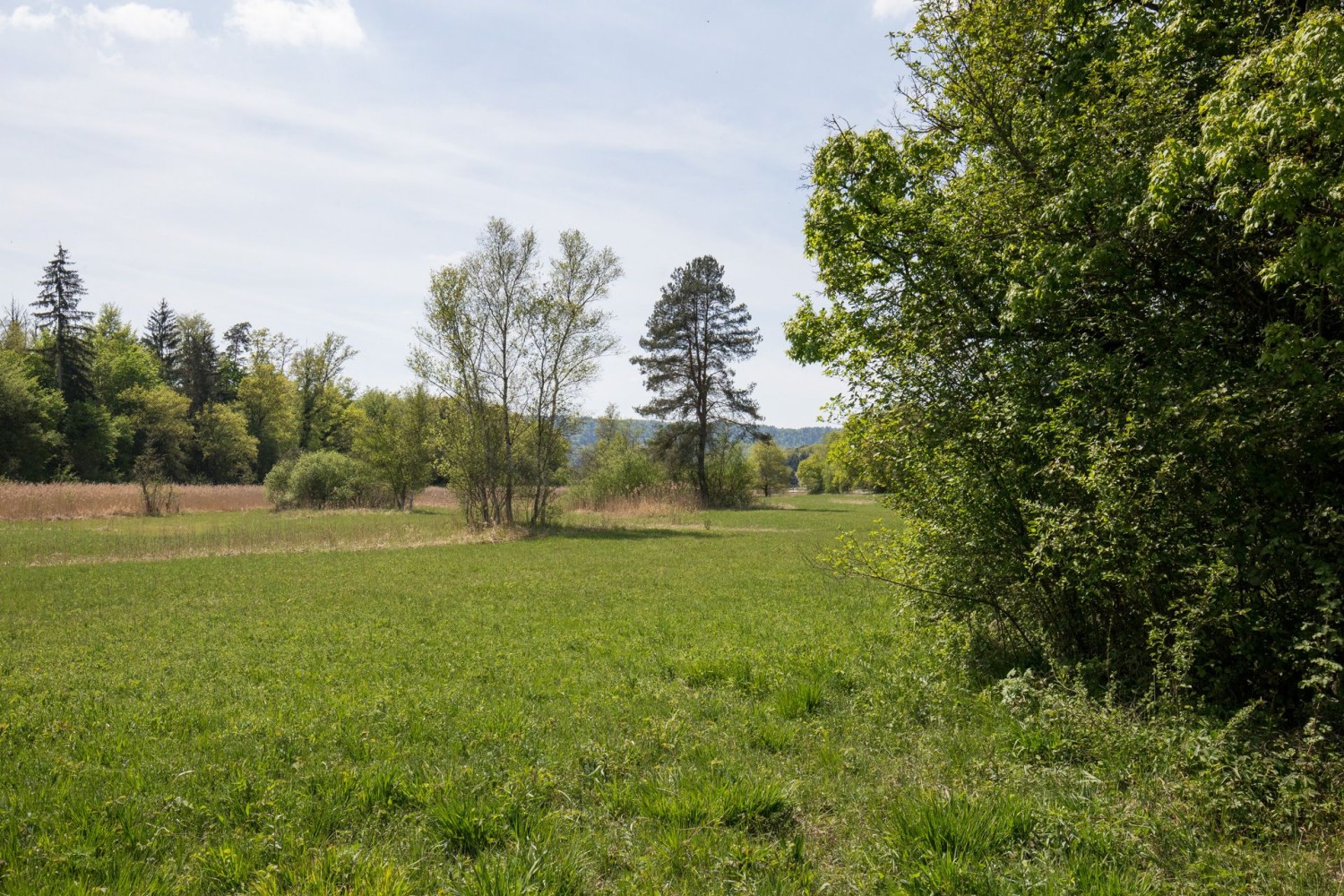Kurz vor Altparadies gelangt man ins grosse Flachmoor Schaarewis.