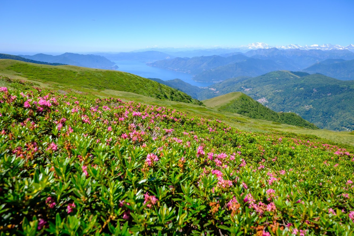 Vom Gradicciòli blickt man auf den Lago di Lugano und den Monte Rosa.