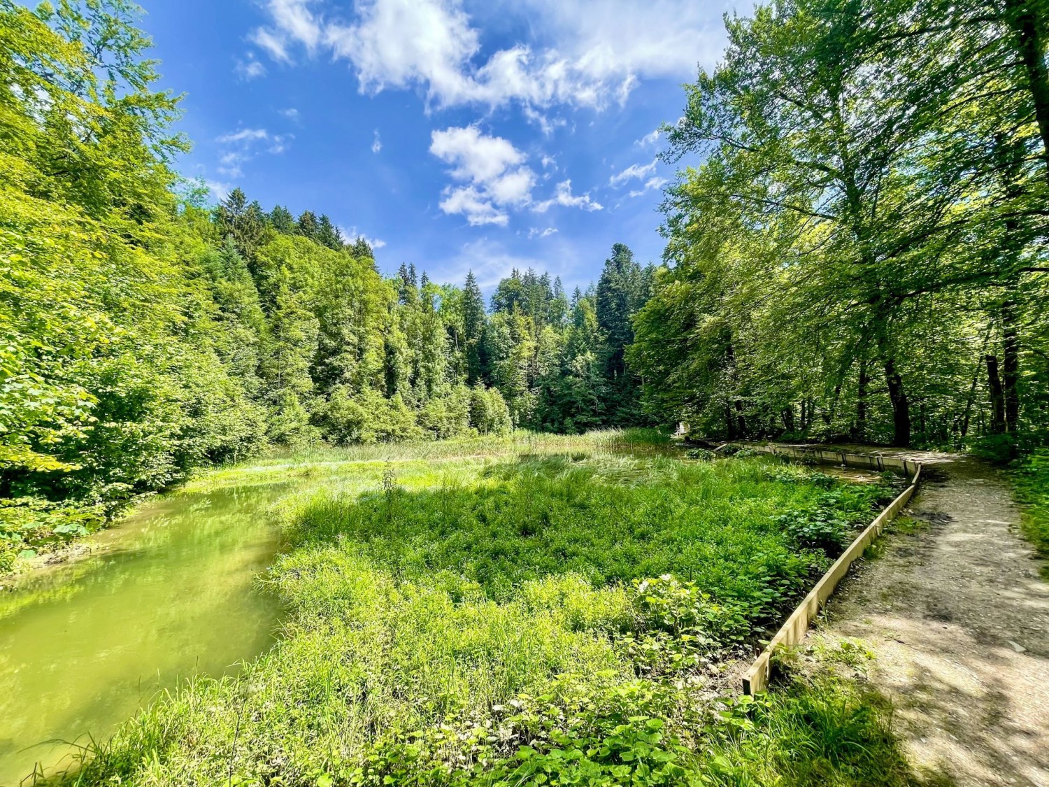 Die Wanderung ist äusserst abwechslungsreich und führt durch idyllische Landschaften.