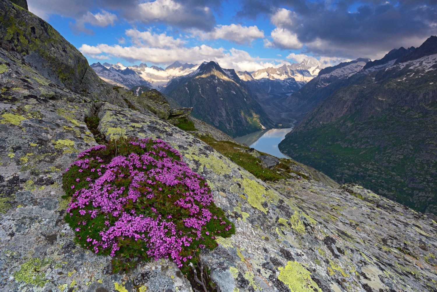 Le lac du Grimsel et, à sa gauche, le Vorder Zinggestock, au pied duquel se trouve la faille de cristal.